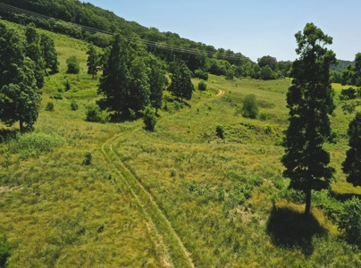 East Tennessee Farm for Sale Grainger County- Rutledge 37861 - image 9