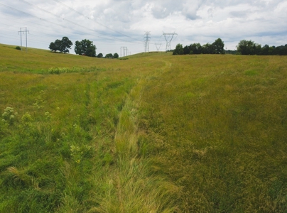 East Tennessee Farm for Sale Grainger County- Rutledge 37861 - image 48