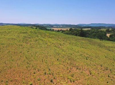 East Tennessee Farm for Sale Grainger County- Rutledge 37861 - image 3