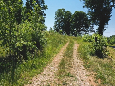 East Tennessee Farm for Sale Grainger County- Rutledge 37861 - image 34
