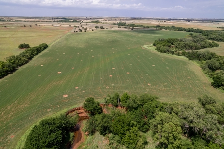 Custer County, OK Land for Sale – 160 Acres - image 7