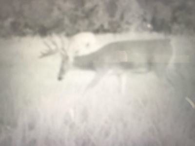 Hunt, Fish, Run Cattle, and Live on this Louisburg Acreage - image 33