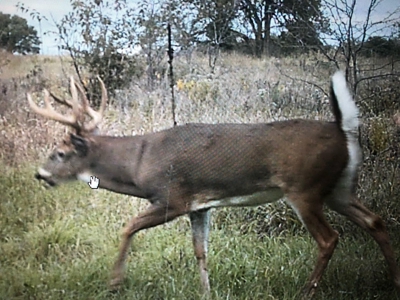 Hunt, Fish, Run Cattle, and Live on this Louisburg Acreage - image 34