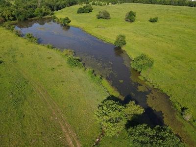 Hunt, Fish, Run Cattle, and Live on this Louisburg Acreage - image 10