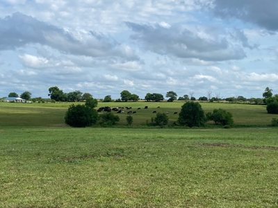 Hunt, Fish, Run Cattle, and Live on this Louisburg Acreage - image 39