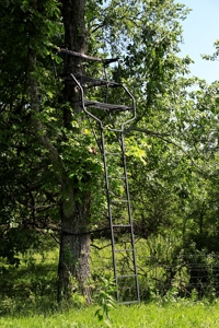 Hunt, Fish, Run Cattle, and Live on this Louisburg Acreage - image 38