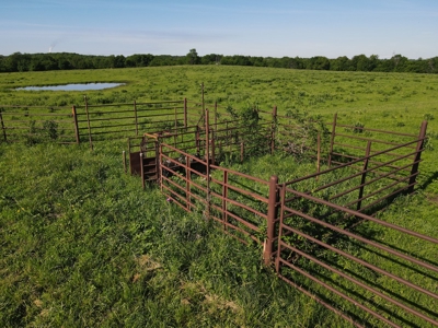 Hunt, Fish, Run Cattle, and Live on this Louisburg Acreage - image 20