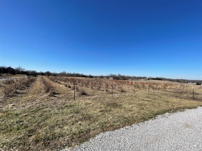 15 acres for sale near Smiths Grove, Ky. - image 5