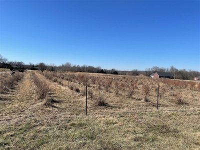 15 acres for sale near Smiths Grove, Ky. - image 4