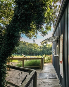 Business Opportunity Near Buffalo National River - image 14