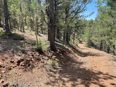 Secluded Property for Sale in the Colorado Mountains near Cr - image 5