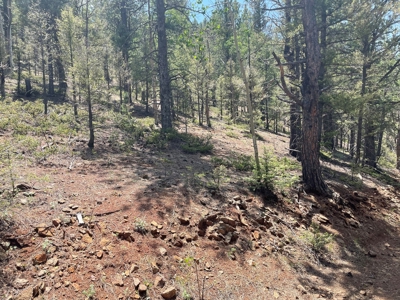 Secluded Property for Sale in the Colorado Mountains near Cr - image 6