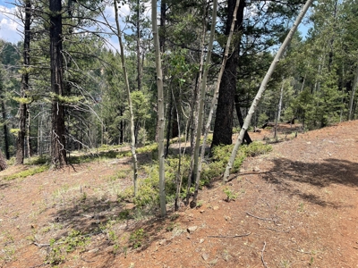 Secluded Property for Sale in the Colorado Mountains near Cr - image 9