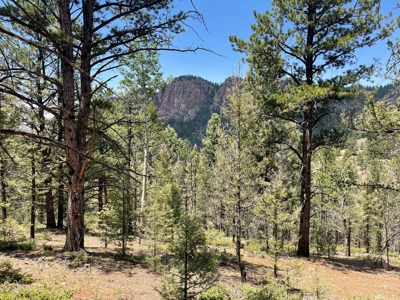 Secluded Property for Sale in the Colorado Mountains near Cr - image 7