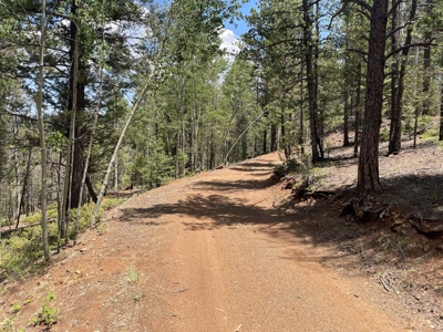 Secluded Property for Sale in the Colorado Mountains near Cr - image 2
