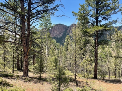 Secluded Property for Sale in the Colorado Mountains near Cr - image 1