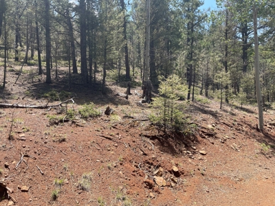 Secluded Property for Sale in the Colorado Mountains near Cr - image 4