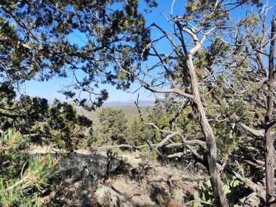 Own Your Own Mountain - image 2