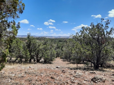 Beautiful Property - image 1