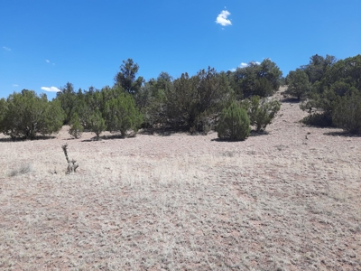 Very Secluded - image 2