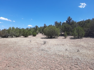 Very Secluded - image 6