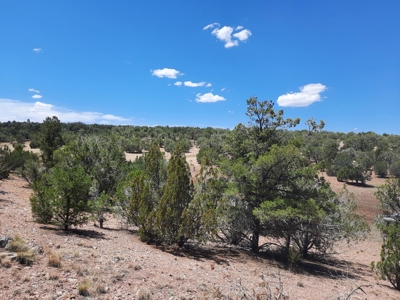 Very Secluded - image 1