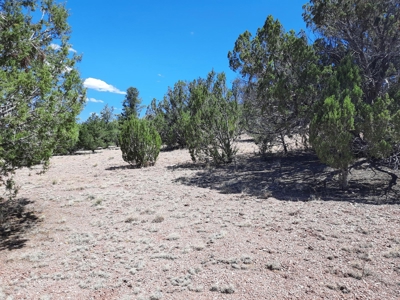 Very Secluded - image 3
