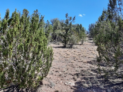 Very Secluded - image 4