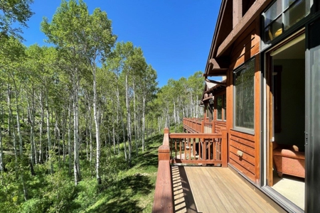 Colorado Luxury Mountain Cabin in Gated Golf Community - image 12