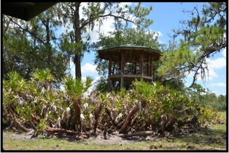 370 Acres on Charlie Creek, Zolfo Springs Florida - image 3