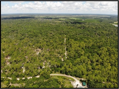 370 Acres on Charlie Creek, Zolfo Springs Florida - image 45