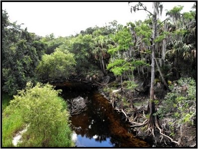 370 Acres on Charlie Creek, Zolfo Springs Florida - image 27