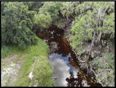 370 Acres on Charlie Creek, Zolfo Springs Florida - image 29