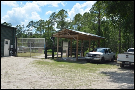 370 Acres on Charlie Creek, Zolfo Springs Florida - image 20
