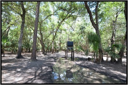 370 Acres on Charlie Creek, Zolfo Springs Florida - image 2