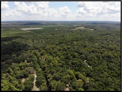 370 Acres on Charlie Creek, Zolfo Springs Florida - image 28