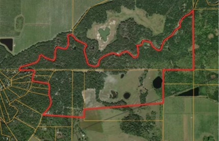 370 Acres on Charlie Creek, Zolfo Springs Florida - image 1