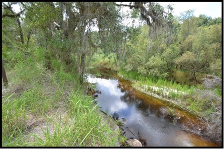 370 Acres on Charlie Creek, Zolfo Springs Florida - image 25