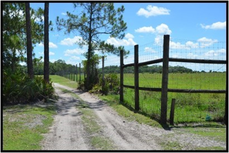 370 Acres on Charlie Creek, Zolfo Springs Florida - image 31