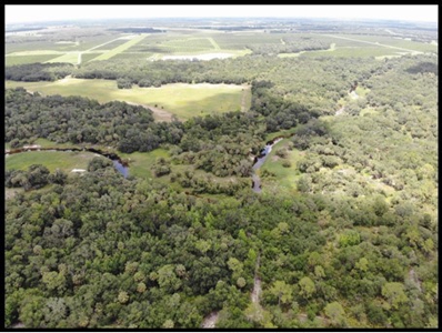 370 Acres on Charlie Creek, Zolfo Springs Florida - image 22