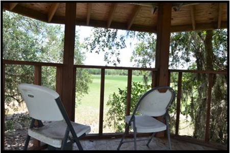 370 Acres on Charlie Creek, Zolfo Springs Florida - image 8