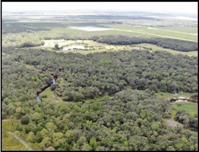 370 Acres on Charlie Creek, Zolfo Springs Florida - image 26