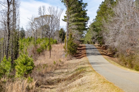 70 Acres Lincoln Parish Timberland for Sale North LA - image 20
