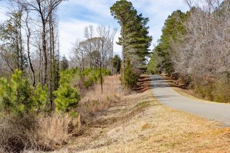 70 Acres Lincoln Parish Timberland for Sale North LA - image 21