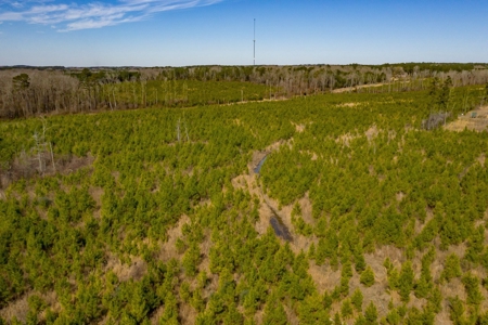 70 Acres Lincoln Parish Timberland for Sale North LA - image 12