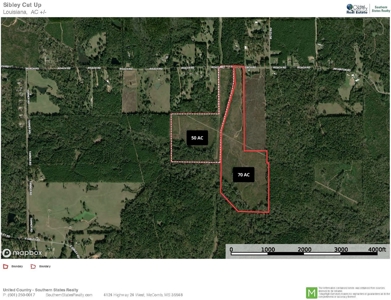 70 Acres Lincoln Parish Timberland for Sale North LA - image 32