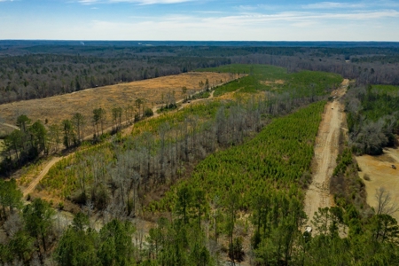 70 Acres Lincoln Parish Timberland for Sale North LA - image 5
