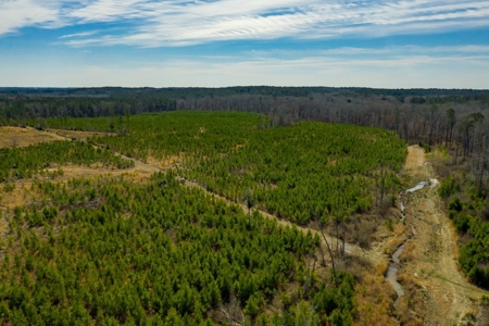70 Acres Lincoln Parish Timberland for Sale North LA - image 6