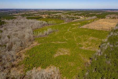 70 Acres Lincoln Parish Timberland for Sale North LA - image 10