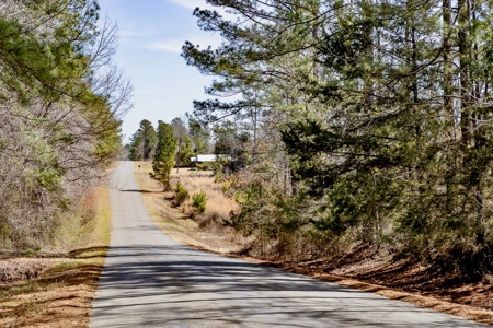 70 Acres Lincoln Parish Timberland for Sale North LA - image 22